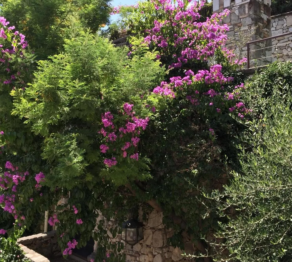 Le Finestre Sugli Ulivi Centro Storico Desenzano Appartement Desenzano del Garda